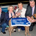 Increíble: El perro de carreras campeón de Irlanda da positivo por cocaína