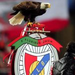 El águila del Benfica se fue del estadio y regresó un día después