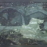 Publican el informe preliminar por la muerte de Emiliano Sala