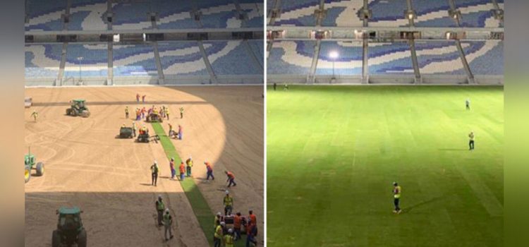 Estadio de Qatar instala césped en tiempo récord