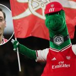 Mesut Özil se ofrece a pagar el sueldo de la mascota del Arsenal que fue despedida